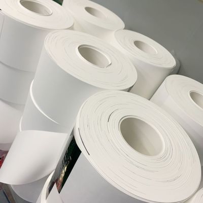 品質  0.1µM - 5µM Pore Size Nylon (Polyamide) Membrane Filter Circles 工場